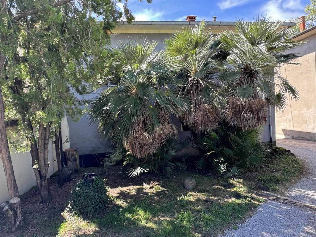 Casa indipendente a Cortona in Case Abitate Farneta, 21 - Foto 4