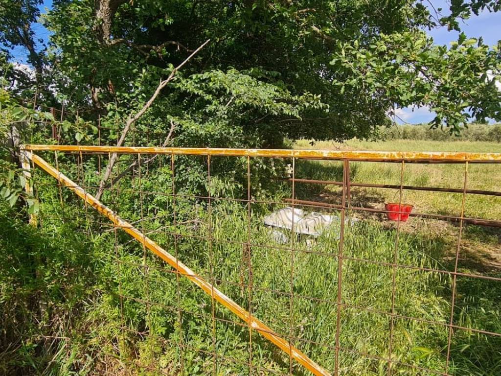 Terreno a Vetralla in Via del Campo - Foto 5