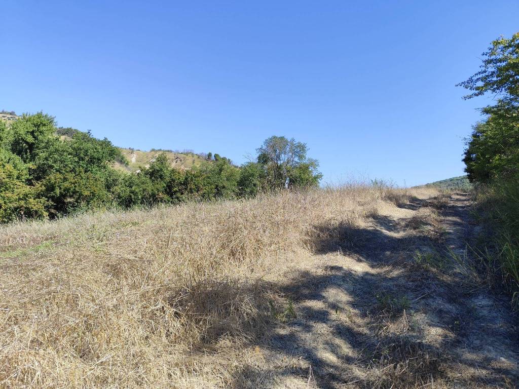 Terreno a Alviano in Strada Provinciale di Alviano - Foto 2