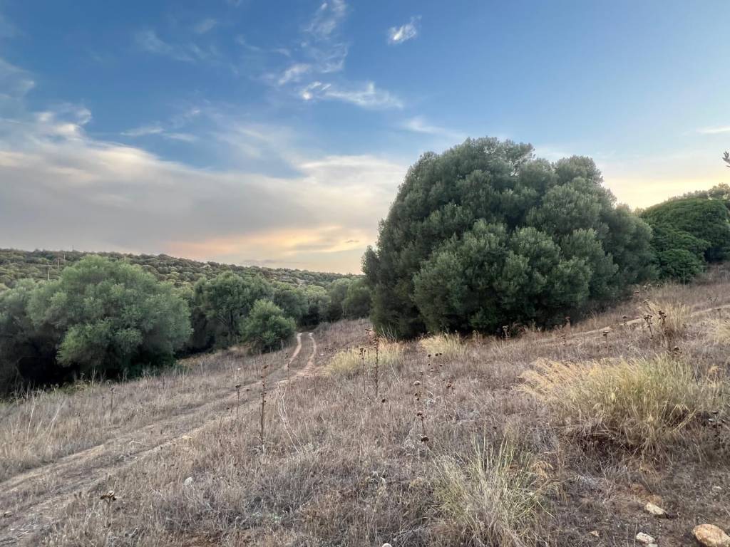 Terreno a Arzachena in Strada Statale Orientale Sarda - Foto 4