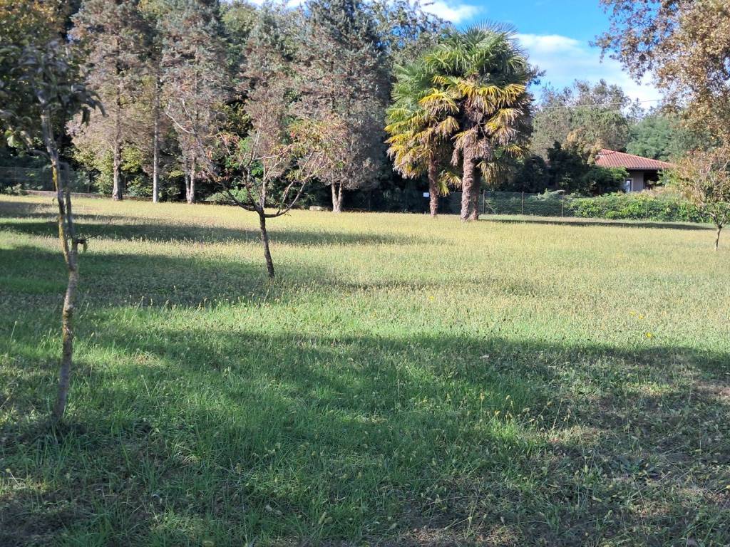 Terreno a Brebbia - Foto 5