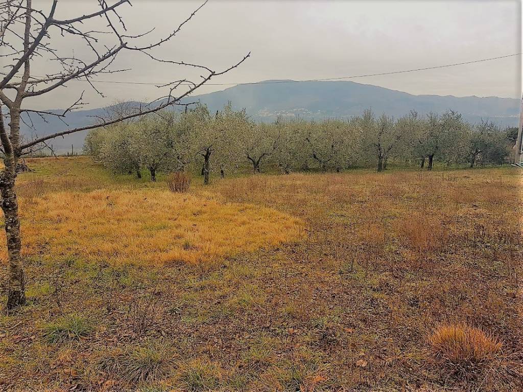 Terreno a Lucca in Via di Poggio Seconda - Foto 3