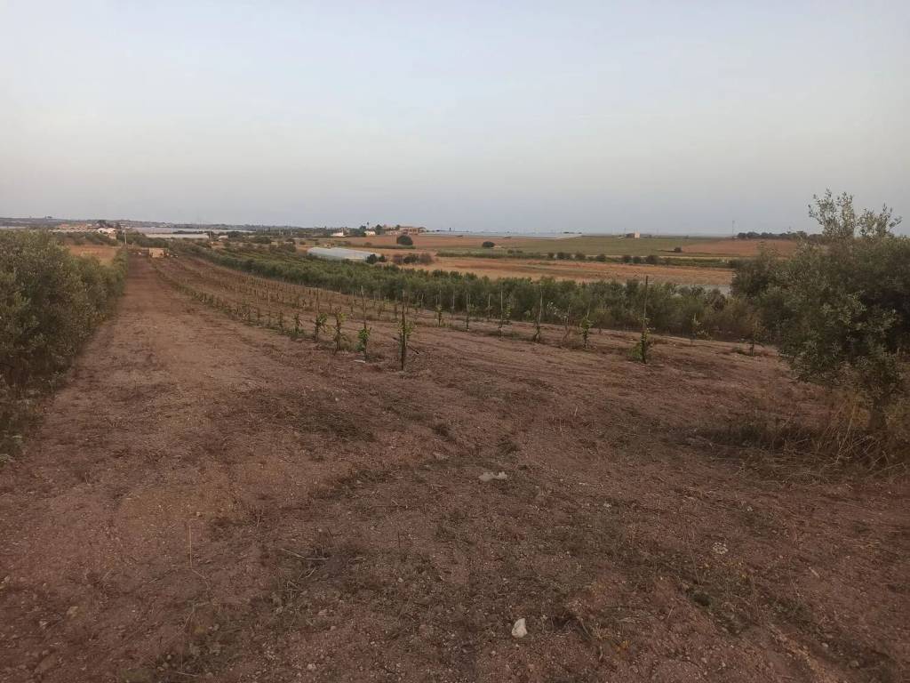 Terreno a Noto in Sp 22 S.N.C. - Foto 2