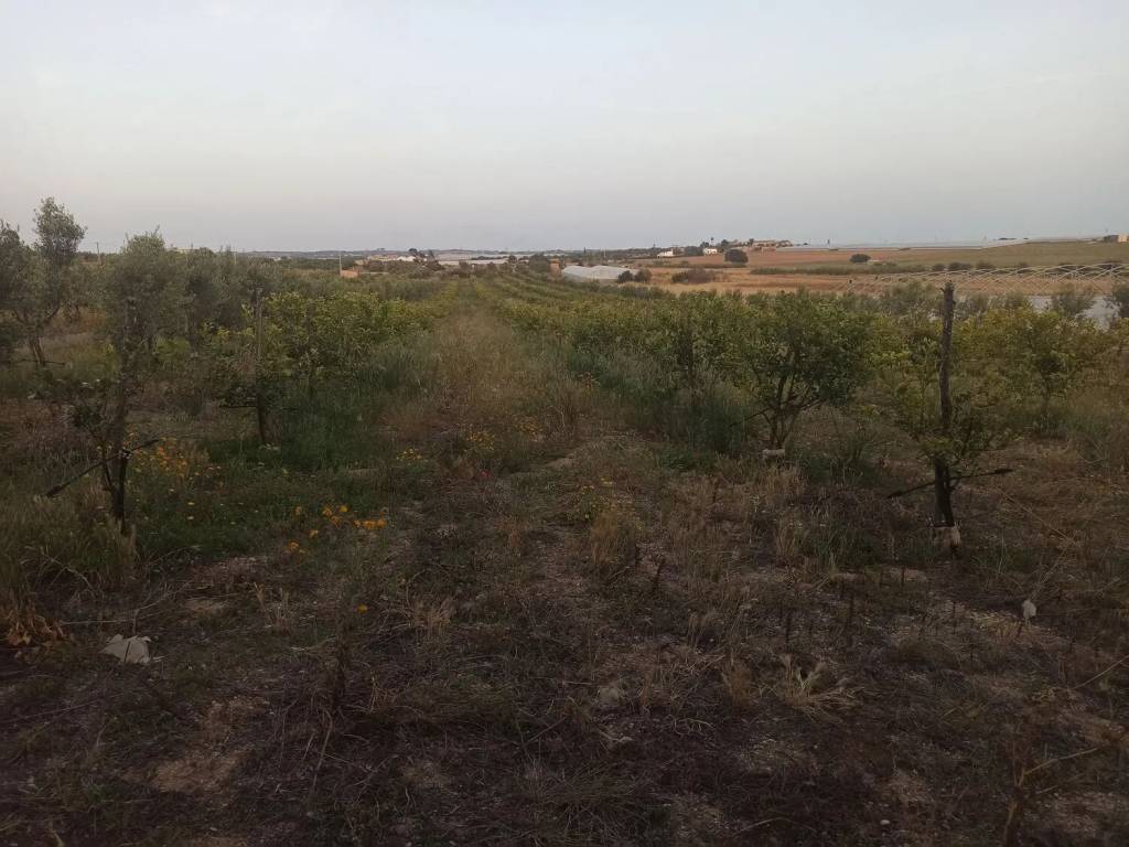 Terreno a Noto in Sp 22 S.N.C. - Foto 3