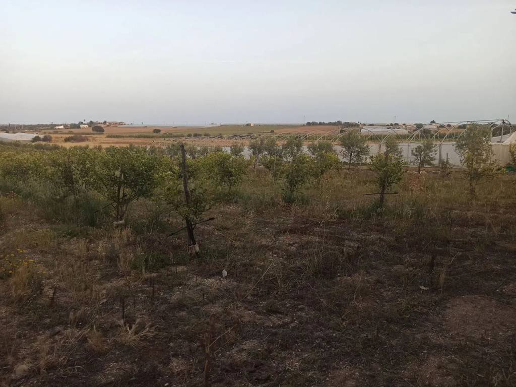 Terreno a Noto in Sp 22 S.N.C. - Foto 4