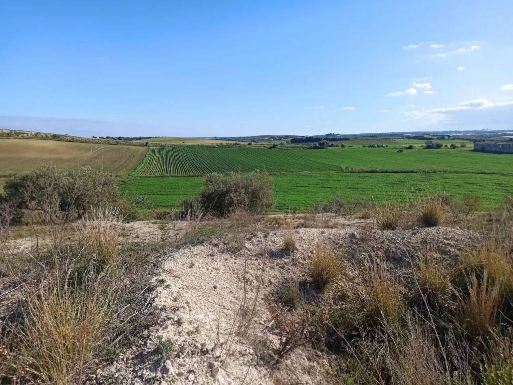 Terreno a Noto in Sp 26 S.N.C. - Foto 3