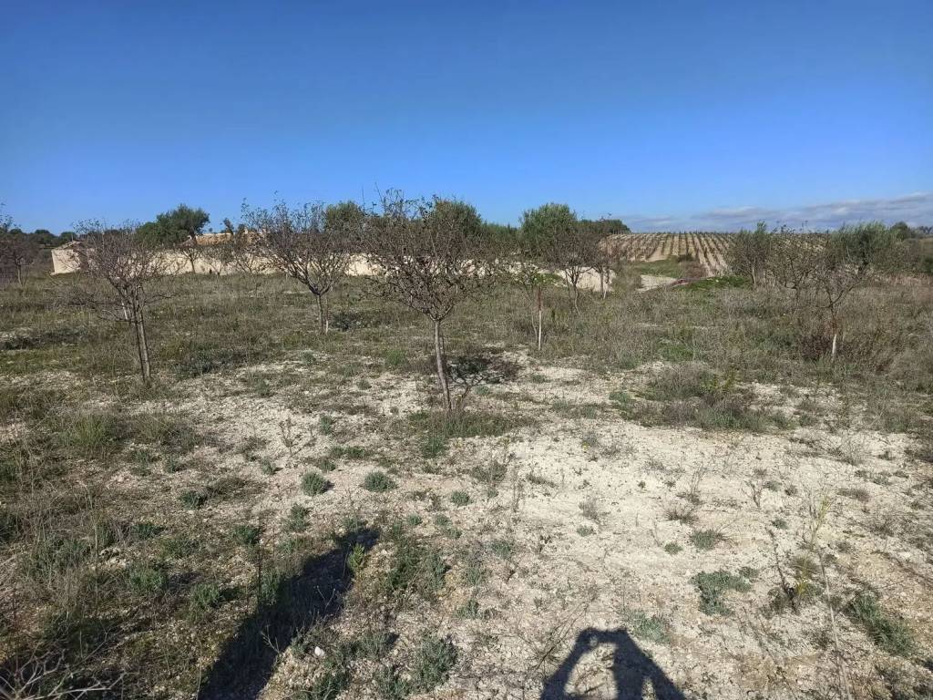 Terreno a Noto in Sp 26 S.N.C. - Foto 4