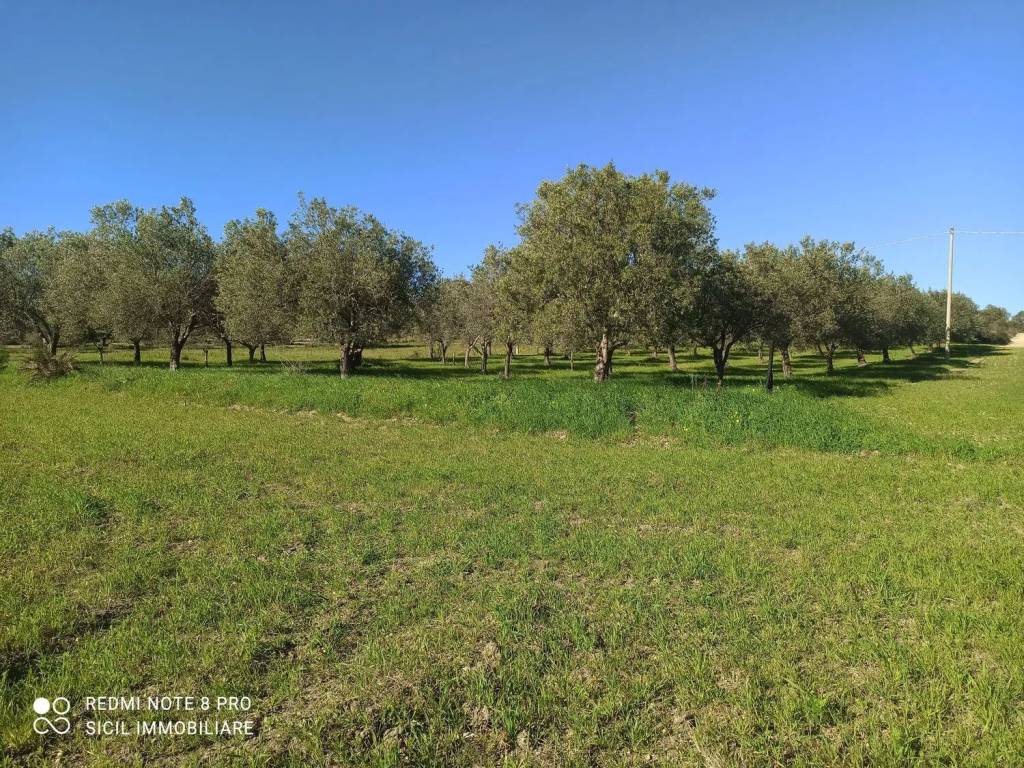 Terreno a Noto in 56 S.N.C. - Foto 2