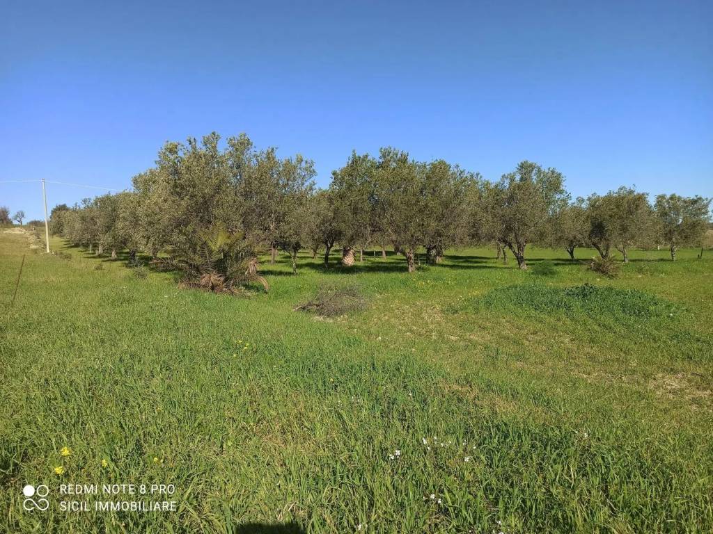 Terreno a Noto in 56 S.N.C. - Foto 4