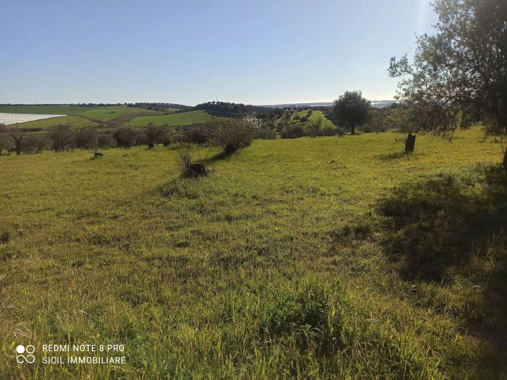 Terreno a Noto in 56 S.N.C. - Foto 5