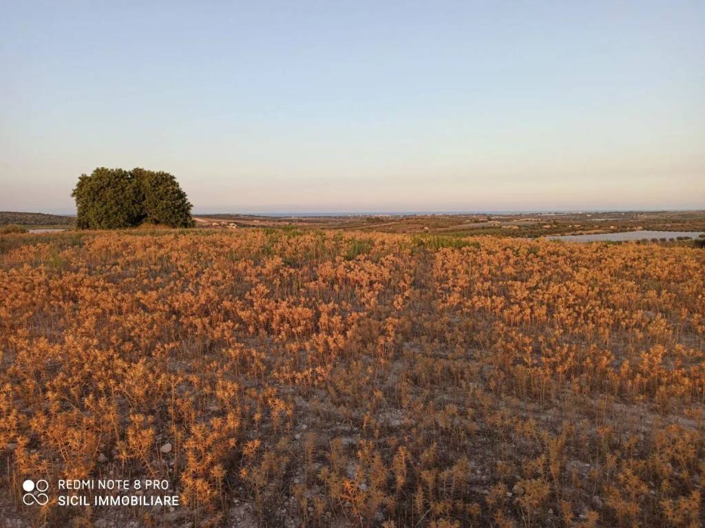 Terreno a Noto in Sp56 S.N.C. - Foto 2