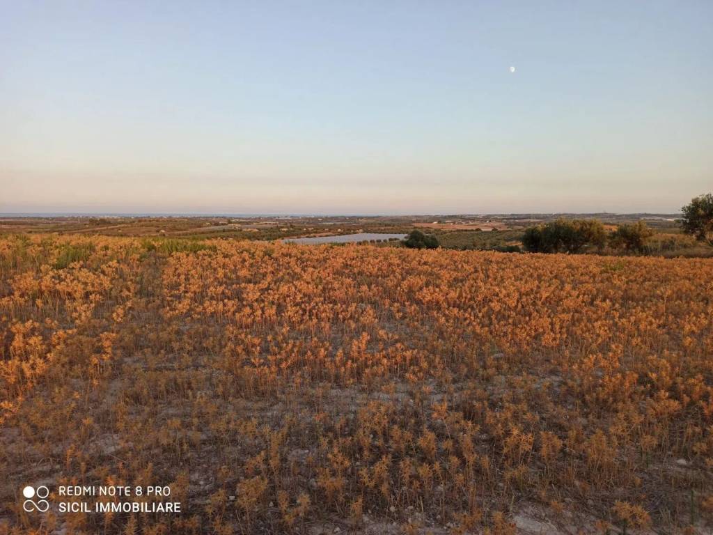 Terreno a Noto in Sp56 S.N.C. - Foto 3
