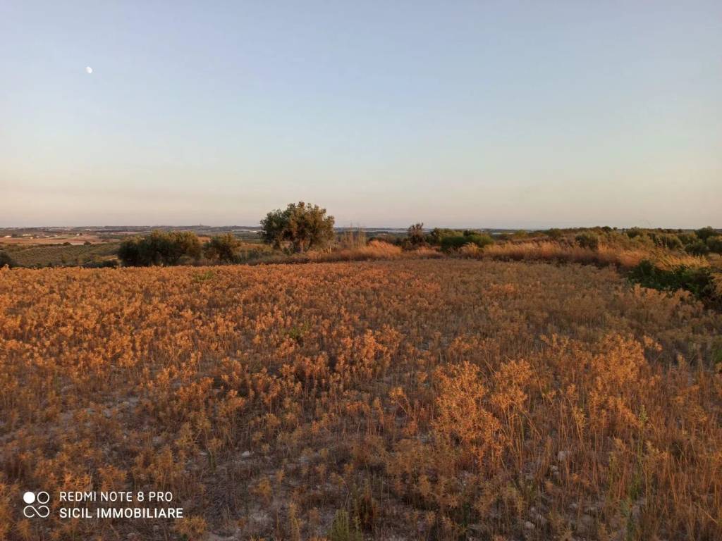 Terreno a Noto in Sp56 S.N.C. - Foto 4