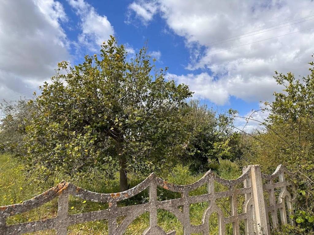 Terreno a Noto in Contrada Gioi S.N.C. - Foto 2