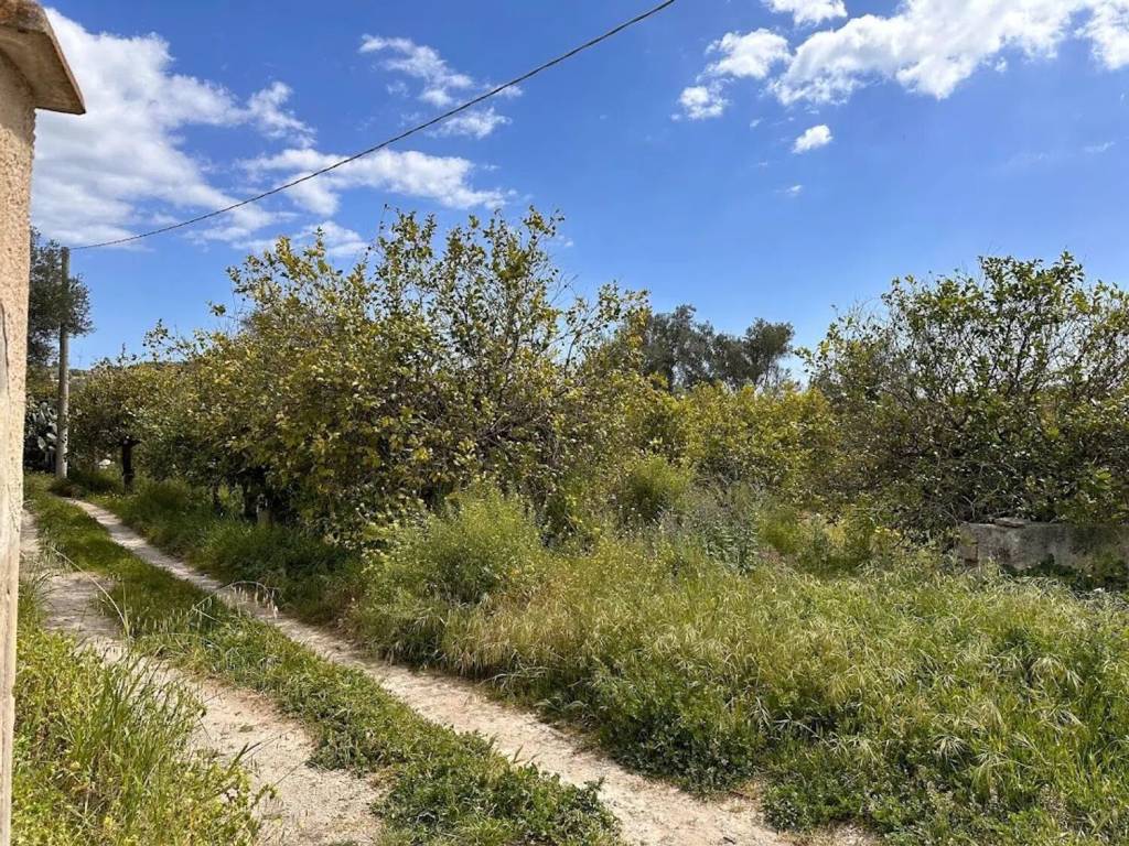 Terreno a Noto in Contrada Gioi S.N.C. - Foto 3