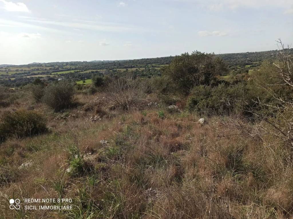 Terreno a Noto in Ss287 S.N.C. - Foto 3