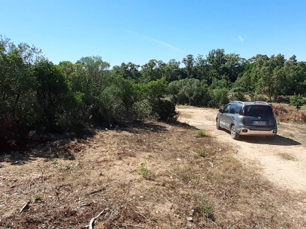 Terreno a Arzachena - Foto 2
