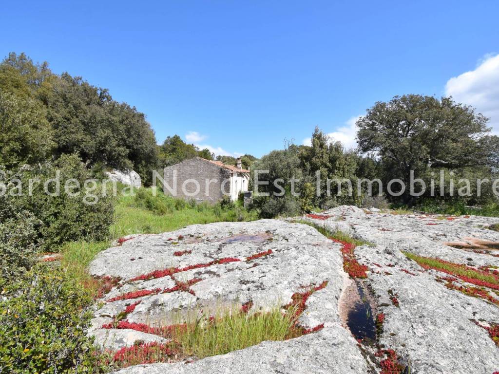 Terreno a Calangianus - Foto 4
