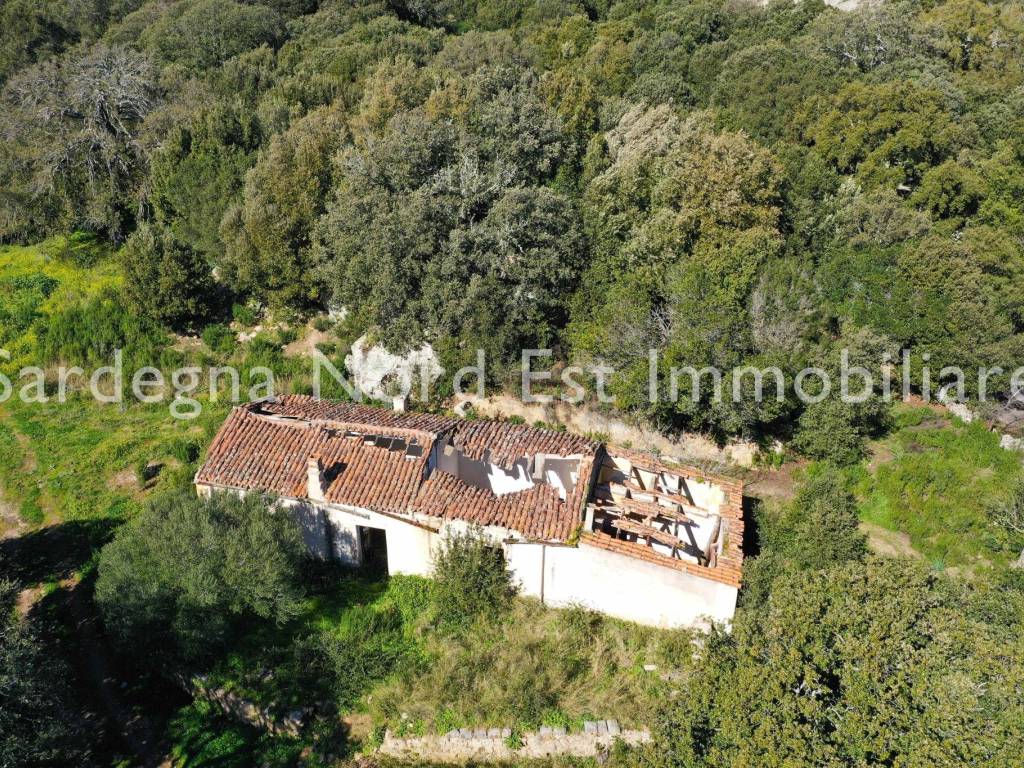 Terreno a Calangianus - Foto 5