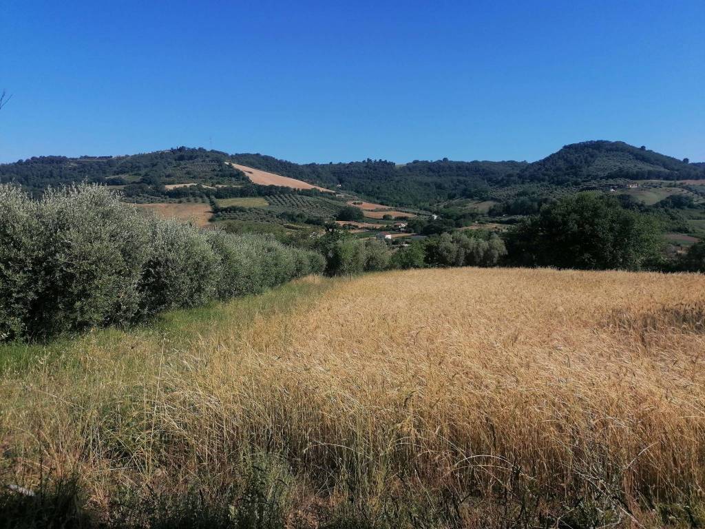Terreno a Massignano in Contrada San Pietro, 22 - Foto 2