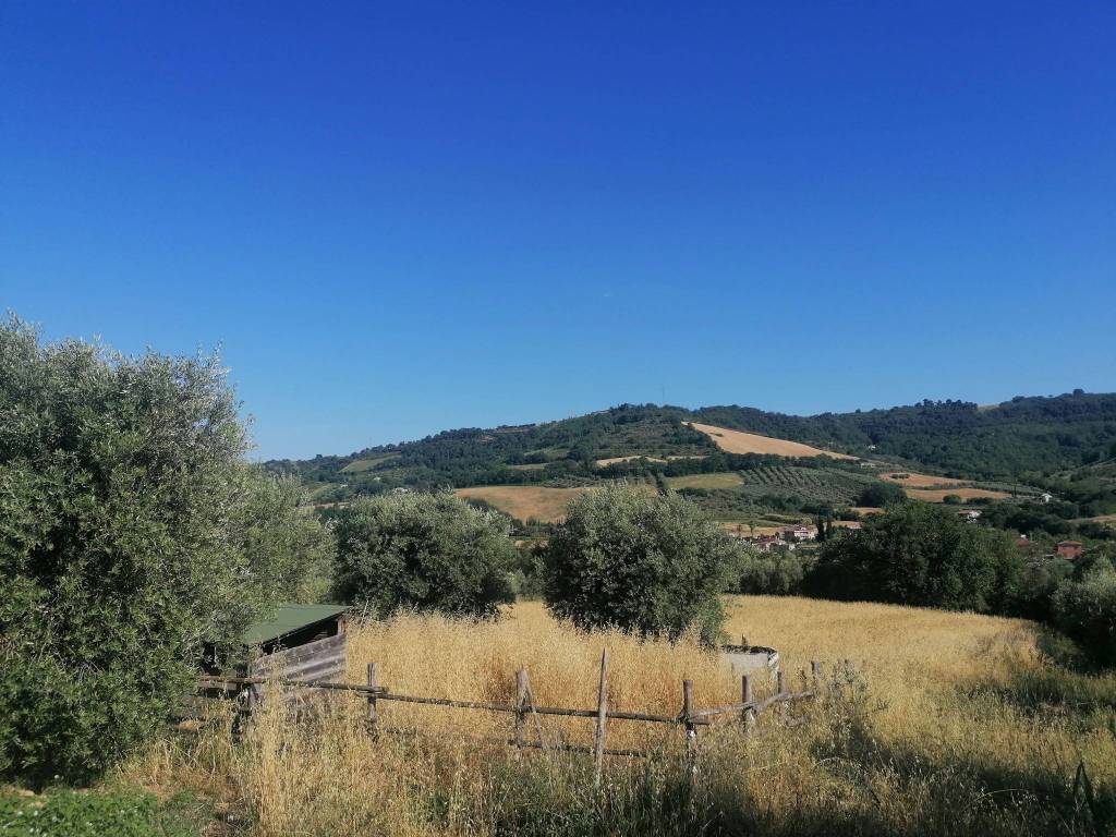Terreno a Massignano in Contrada San Pietro, 22 - Foto 5