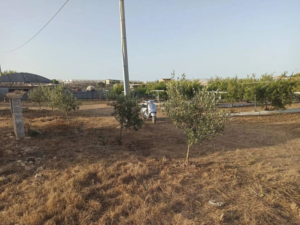 Terreno a Pachino in Sp8 S.N.C. - Foto 4