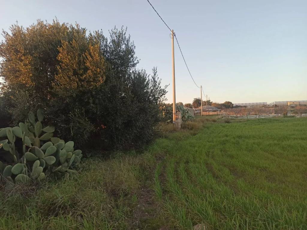 Terreno a Pachino in Sp 8 S.N.C. - Foto 2