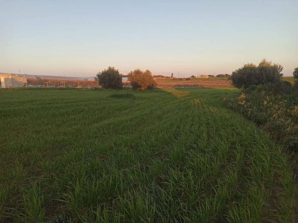 Terreno a Pachino in Sp 8 S.N.C. - Foto 3