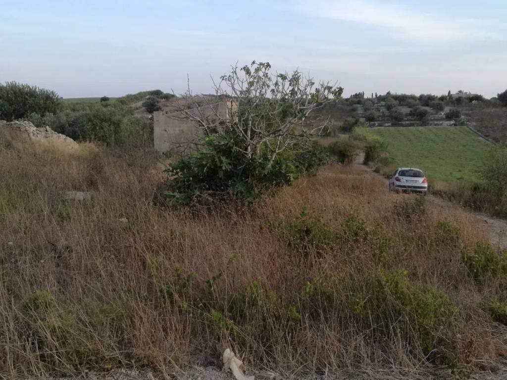 Terreno a Pachino in Strada Regionale 14 S.N.C. - Foto 2
