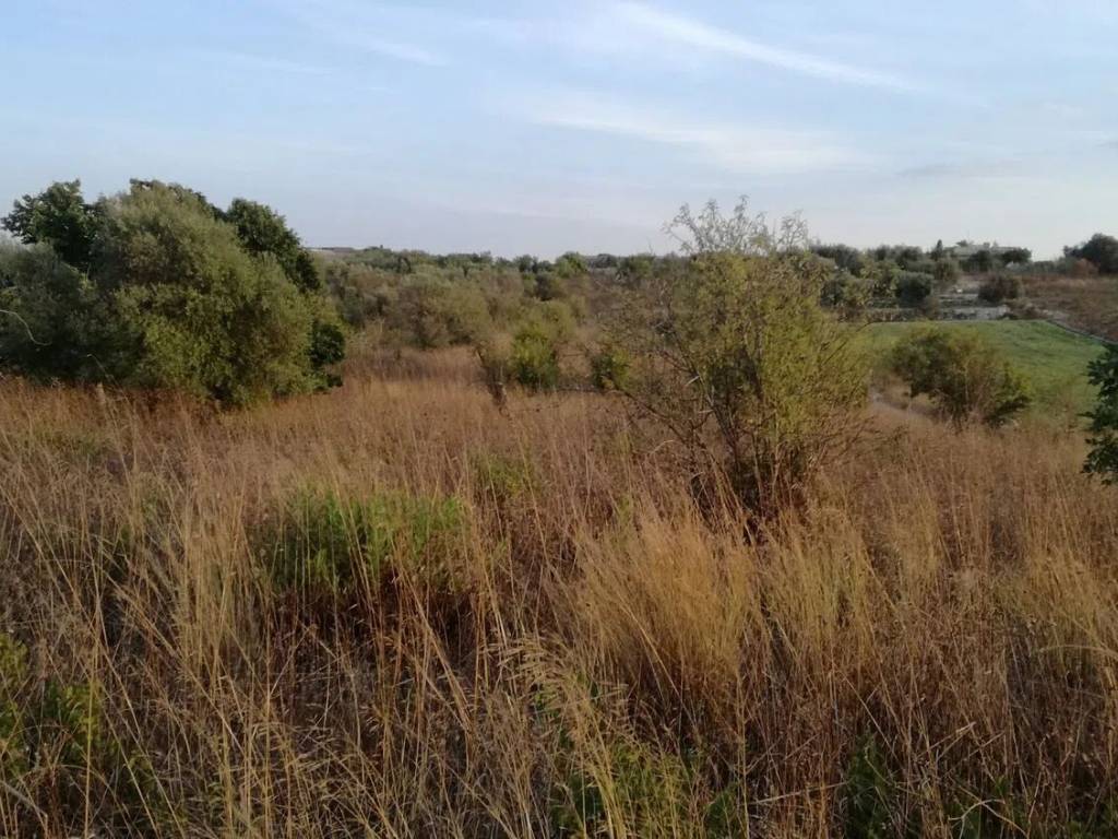 Terreno a Pachino in Strada Regionale 14 S.N.C. - Foto 3