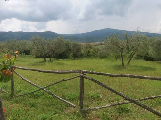 Terreno a Panicale in Via Piegaro, 22 - Foto 2