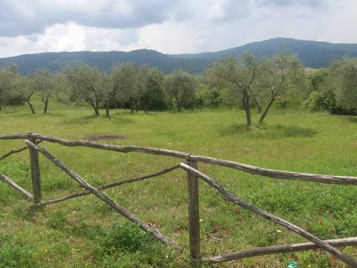 Terreno a Panicale in Via Piegaro, 22 - Foto 3