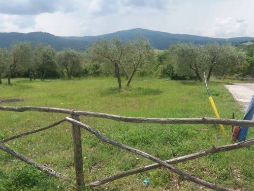 Terreno a Panicale in Via Piegaro, 22 - Foto 4