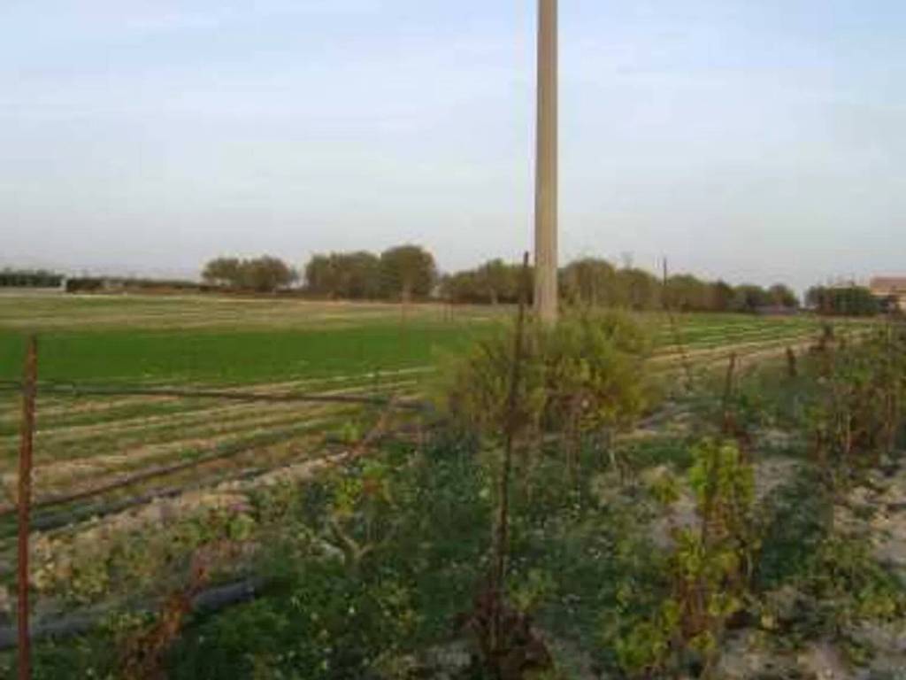 Terreno a Noto in Sp 19, 10 - Foto 4
