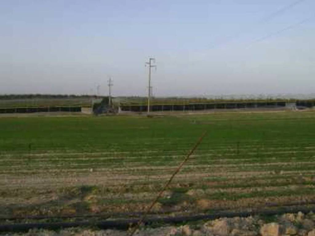 Terreno a Noto in Sp 19, 10 - Foto 5