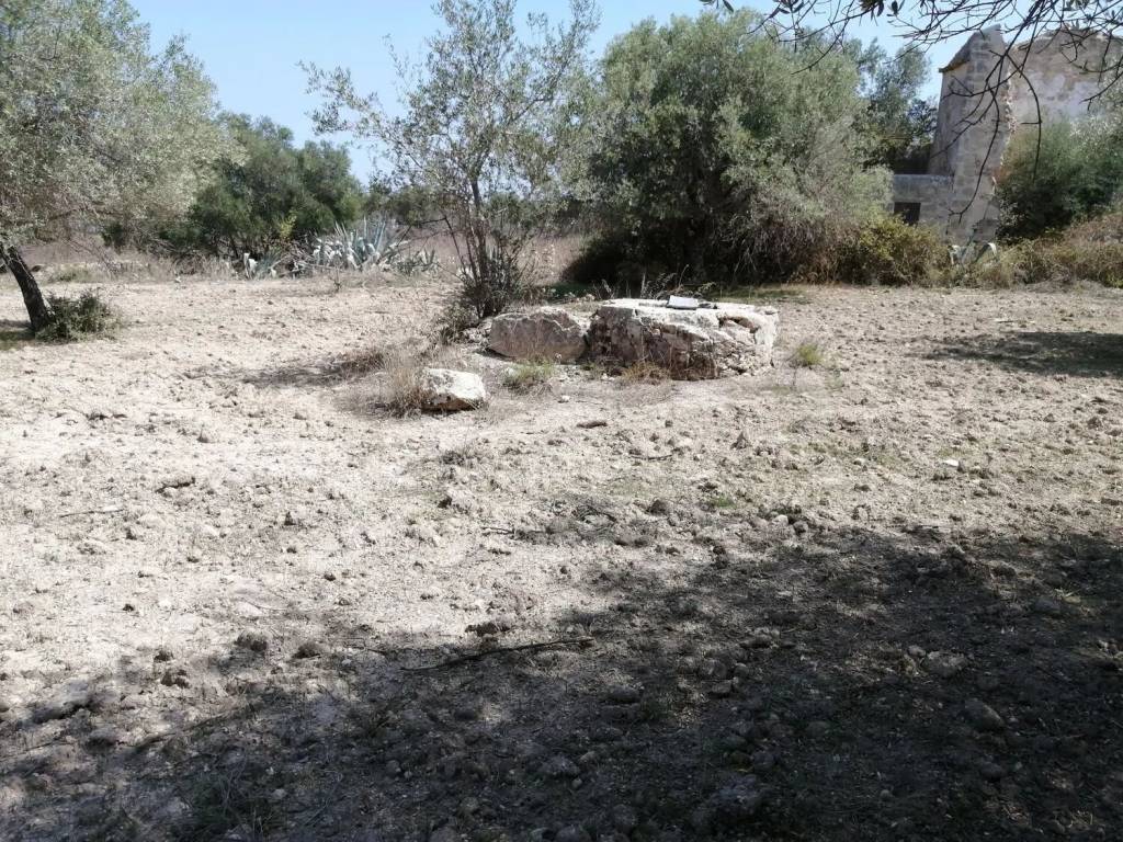 Terreno a Noto in Strada Provinciale 56 S.N.C. - Foto 2