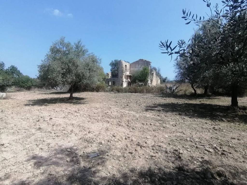 Terreno a Noto in Strada Provinciale 56 S.N.C. - Foto 5