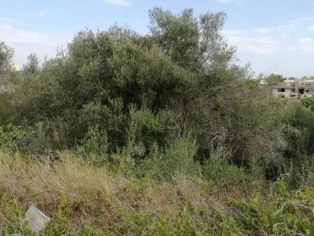 Terreno a Pachino in Viale Aldo Moro, 250 - Foto 5