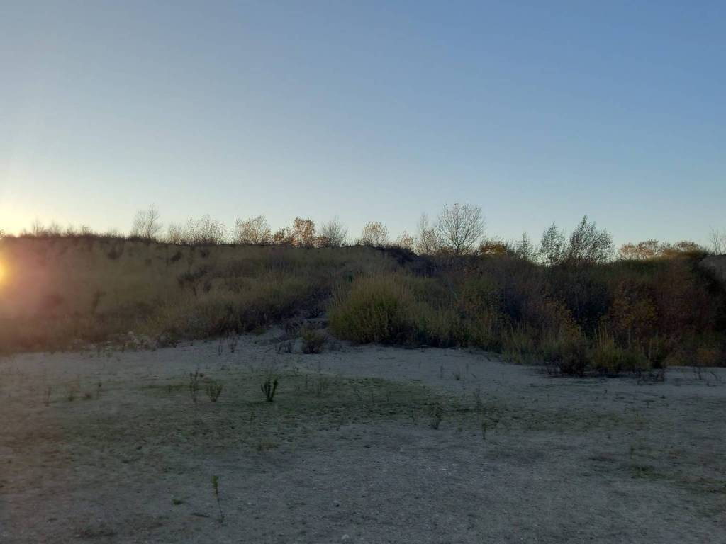 Terreno a Guglionesi - Foto 5