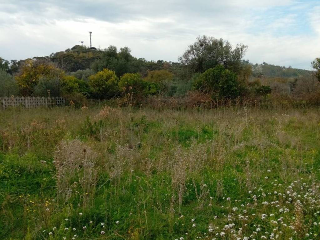 Terreno a Bianco in Via Giuseppe Garibaldi, 32 - Foto 2