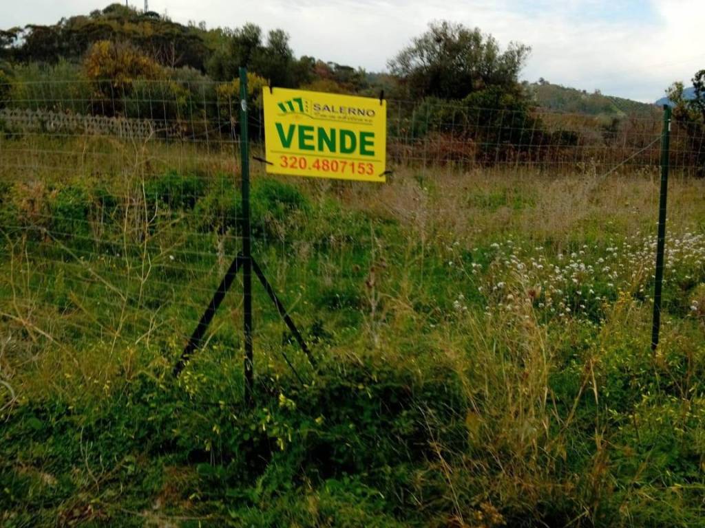 Terreno a Bianco in Via Giuseppe Garibaldi, 32 - Foto 5