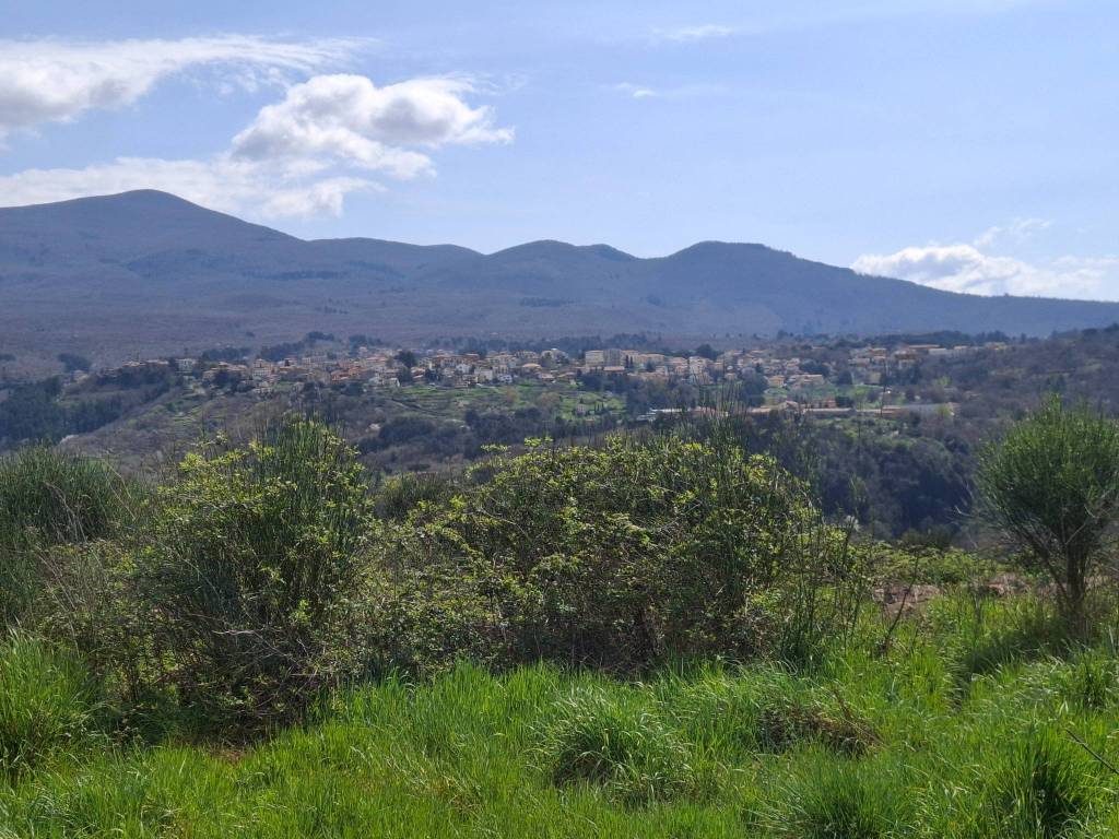 Terreno a Castel del piano in Strada Provinciale Cipressino - Foto 3