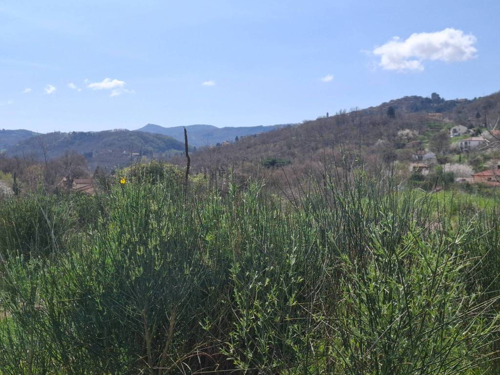 Terreno a Castel del piano in Strada Provinciale Cipressino - Foto 4