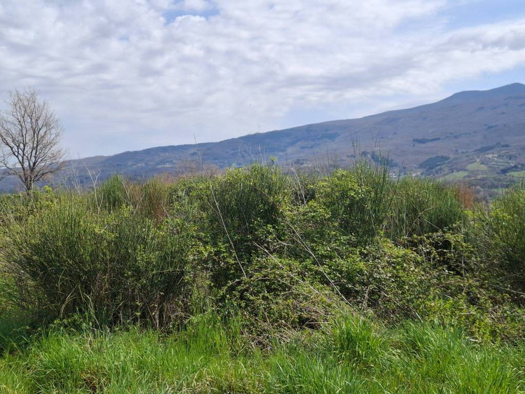 Terreno a Castel del piano in Strada Provinciale Cipressino - Foto 5
