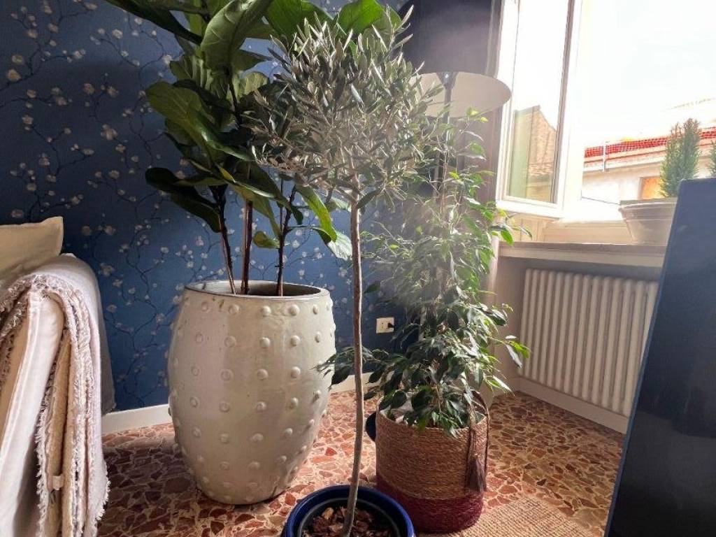 Appartamento a Piacenza - Foto 3
