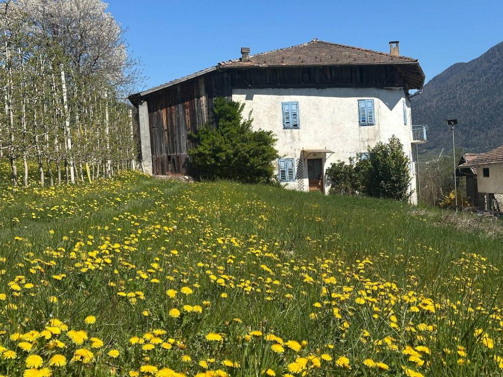 Villa a Cis in Località Viar, 54 - Foto 3
