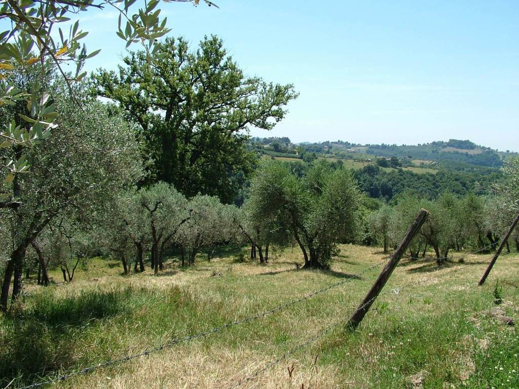 Terreno a Montebuono in Vocabolo Spezzano - Foto 2