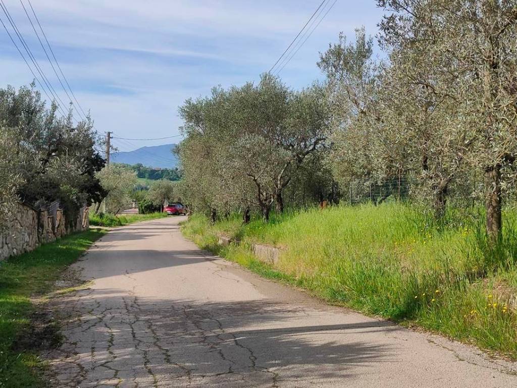 Terreno a Montebuono in Vocabolo Spezzano - Foto 4
