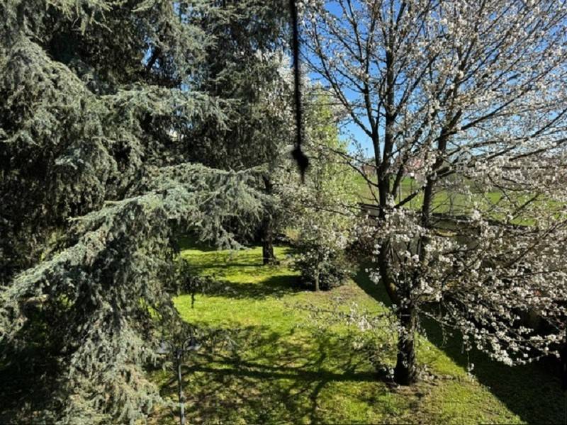 Appartamento a Cremona in Via Diritta, 7 - Foto 5