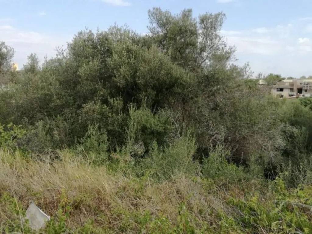 Terreno a Pachino in Viale Aldo Moro, 225 - Foto 3